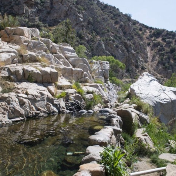 Meet your Posher, Kendra - Picture 9 of 9